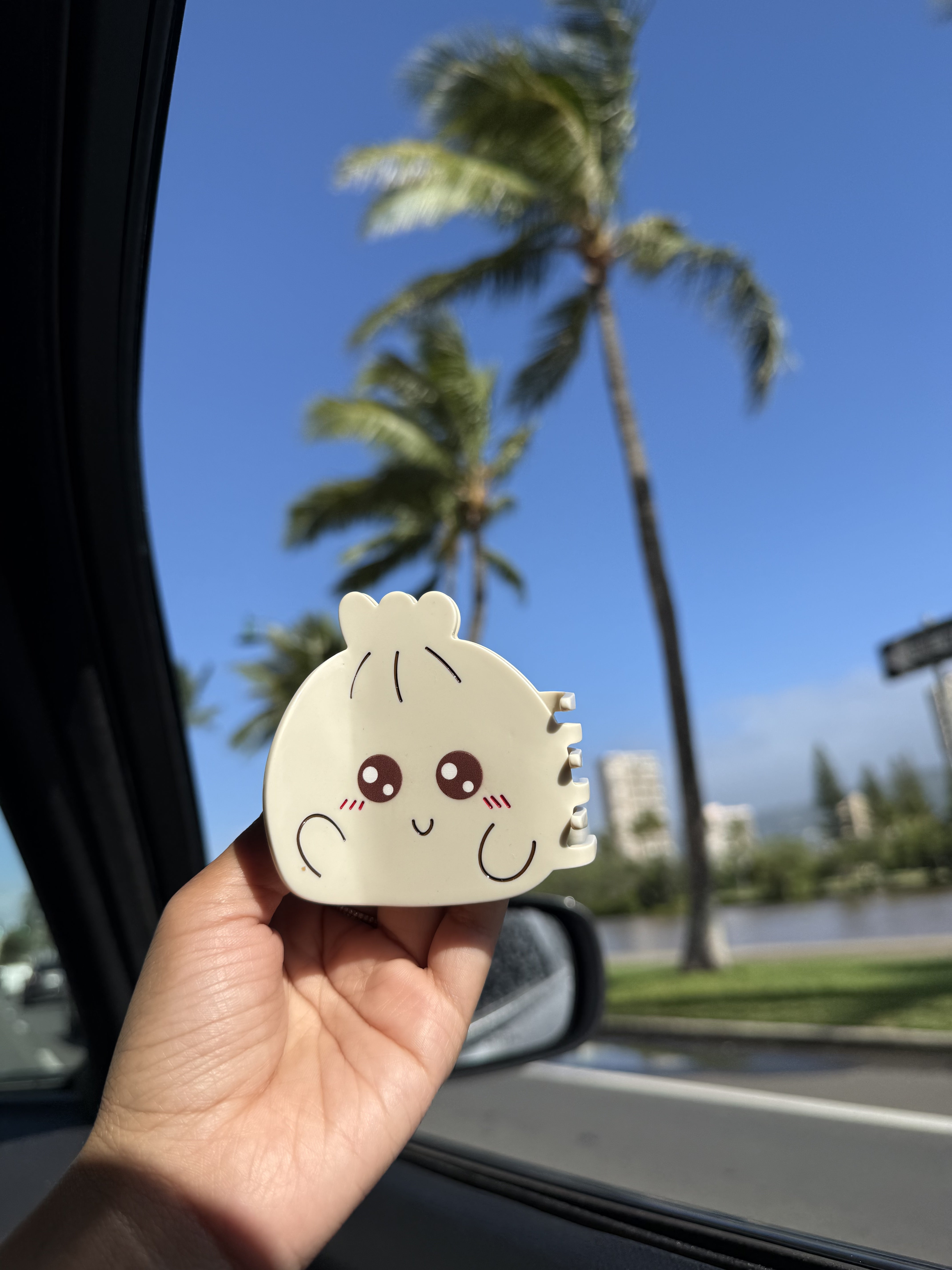 Bao bun
